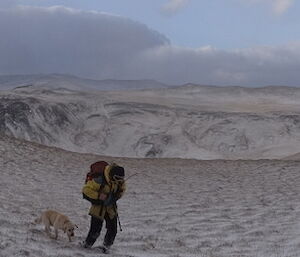 Steve wearing his snow gear walking with Flax the dog who is a golden Labrador retriever through the snow in the background you have snow covered mountain range