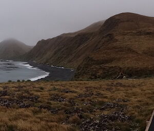 Picture of Sandy Bay and the walking track