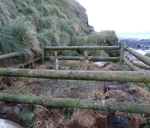 Two crosses marking the gravesite at nuggets beach