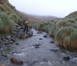 Marty and Steve making their way up Nuggets Creek