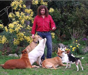 Billy with his six dogs — two white german shepherds, three ‘germhounds’ and one fox terrier/beagle cross