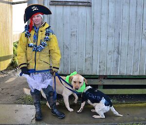 Kaz Andrews(dressed as a pirate) with her two charges — Mr Finnegan (golden lab) and ASH Rainman Springer
