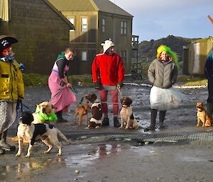 Kaz, Leona, Billy, Angel and Nick with their dogs standing in fron of the mess porch