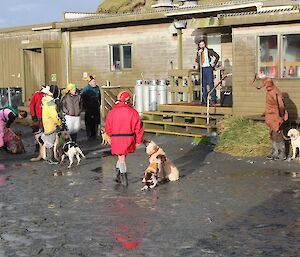 All seven trainers with the ten dogs standing near the mess porch while Dapper Dean introduces them over the PA