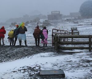 View from behind the finish line, showing the backs of the seven trainers and the dogs about halfway down the course, racing through the blowing snow.