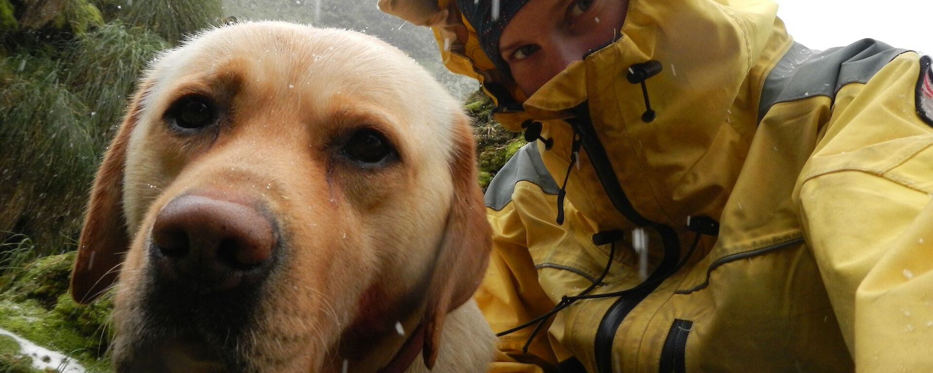Karen, dressed in her yellow wet weather gear, and Finn shelter from a hail storm