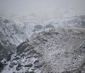 Again from afar, you can make out the Rescue team at the top of the steep slope besides Gadgets Gully