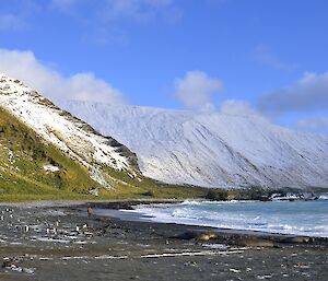 Beautiful West Beach in winter — there are many gentoo penguins and elephant seals on the beach and lots of snow on the hills