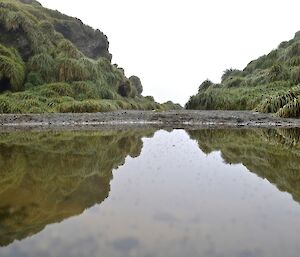 A calm day, near the gap of Razorback Ridge a couple of days after the very windy day. Shows the tussock covered slopes of the gap reflected in a pond