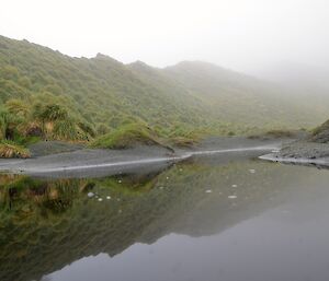 Calm foggy day on the western side of Razorback Ridge. The view shows the reflection of the ridge in a wallow. The ridge blends in to the foggy background.