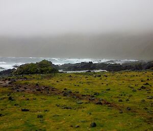 individual rocks spread on top of the grass leading down to the west coast surf with the island escarpment in the background