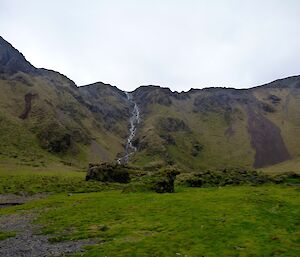 Looking up the escarpment from Sellick bay, with grass and tussocks in the foreground and a waterfall coming down the escarpment in the background