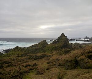 The rugged west coast line with tussocks, rocks stacks and a Giant Petrel breeding site in the foreground and the ocean in the background with overcast skies