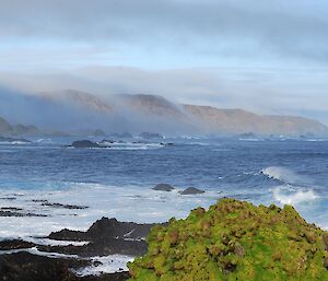 View across to the bay to the rugged, mist covered slopes behind the coastline of Bauer Bay. In the foreground is a rock stack which is covered in vivid green cushion plant