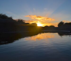 Sunset reflected in a elephant seal wallow. Tussock mounds at the edge of the wallow are silhouetted against the sky