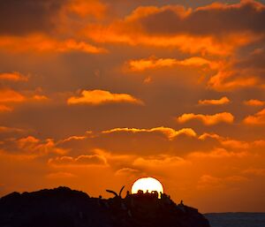 Sunset from West Beach 2. The orange coloured sky and clouds with the orb of the sun just above the horizon provide a silhouette of birds on a rock stack