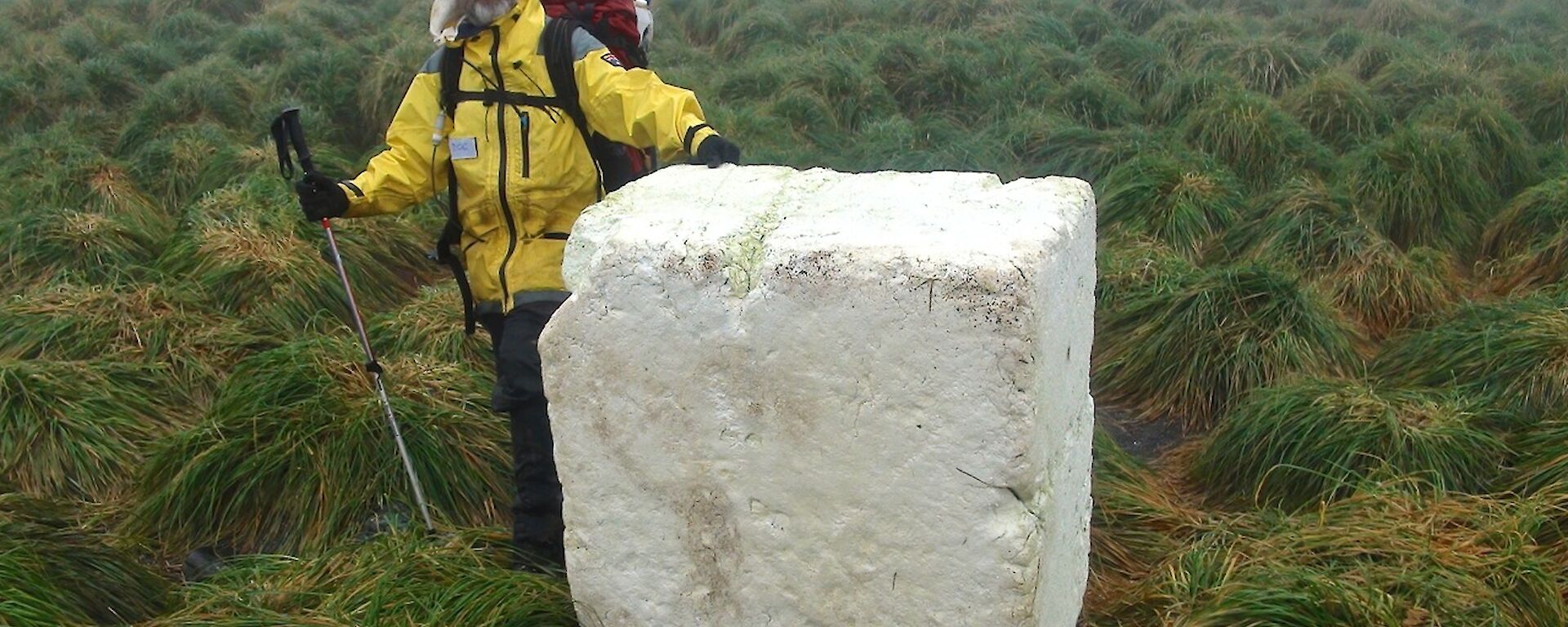 Clive standing next to a block of styrofoam that was found at Eagle Bay and measures approximately 1 metre by 1 metre by 0.75 metre. The block was cached with other marine debris amongst the tussock above the high tide mark
