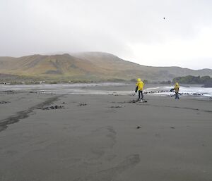 Chris and Clive, each carrying a black plastic rubbish bag, picking up marine debris from the wide expnse of Bauer Bay beach