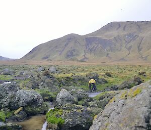 Clive picking up marine debris amongst the rocky outcrops in the Boiler Rocks area just north of Bauer Bay. The West Coast ‘featherbed’ and rugged island slopes can be seen in the distant background