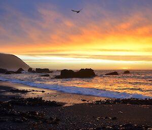 Sunset over Hasselborough Bay — the vivid shades of orange, yellow and purple are reflected on the beach and in the ocean. A silhouette of a bird can be seen in the top of the picture