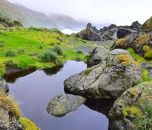 West Coast — shows a beautiful little tarn amongst the vivid green shades of vegetation and the orange tinged lichen covering rocks. The ocean surf and the mist shrouded hills are in the distant background