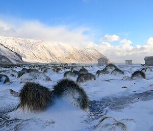 View across the snow covered Magnetic Quiet Zone with the slopes up to the plateau in the background. There are many snow covered tussock mounds in the foreground