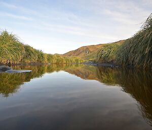 Reflection in a big puddle on the track near East Coast. Tussock lines both sides of the track with the green slopes of the eastern escarpment seen ahead in the distance