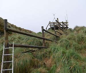 The photos shows the completed (pole) fence extending from the RAPS (Remote Area Power Supply) down the tussock covered slope