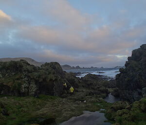 The Wild West Coast — shows the rugged tussock covered rock stacks with deep ponds between and the ocean just beyond. Two expeditioners in their yellow wet weather gear are next to one of the rock stacks