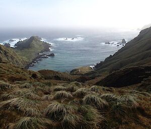 Looking from a high vantage point down the rugged tussock covered slopes to Caroline Cove and Caroline Point