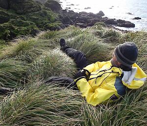 Clive sitting amongst the tussock overlooking the rocky coast of Caroline Cove