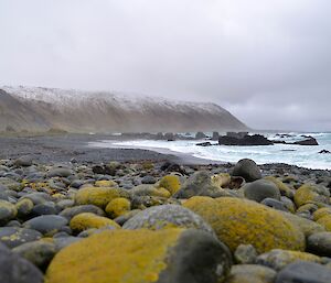 View along West Beach — taken from a low position showing in the foreground, the lichen covered pebbles above the high tide mark and the snow covered slopes of the escarpment in the background