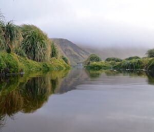 Reflections in a wallow pond near the science building on station. The view is towards the south and one of the Magnetic quiet zone huts can be seen in the distance, while reflections of the tussock can be seen on both sides of the pond and the distant mist shrouded escarpment in the background