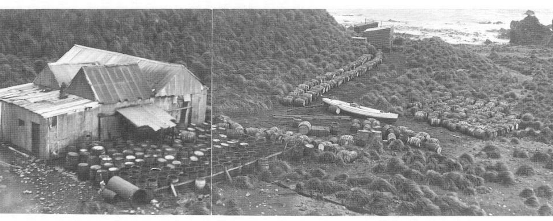 An historic image of the oil processing operation located at the Nuggets. Charles Anderson and Otto Bauer’s graves are located the left hand side of the shed just visible at the top of the image