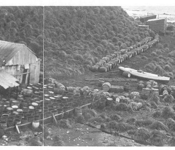 An historic image of the oil processing operation located at the Nuggets. Charles Anderson and Otto Bauer’s graves are located the left hand side of the shed just visible at the top of the image