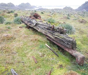 Large beam possibly associated with an early shipwreck. Possibly associated with early ship that came to grief on the rugged foreboding rocks and reefs of this craggy island