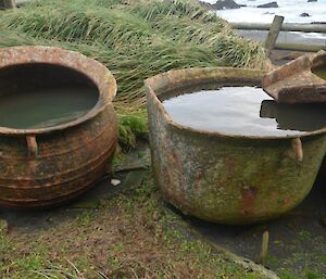 Try pots – located at within the station precinct. Moved previously to this location, but still valuable artifacts. Compare the size of these artefacts to the barely visible pot located at Unity