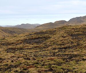 A view towards the south and day one destination over soft mossy ground with pockets gravel – Green George is on the coast near the hills in the distance