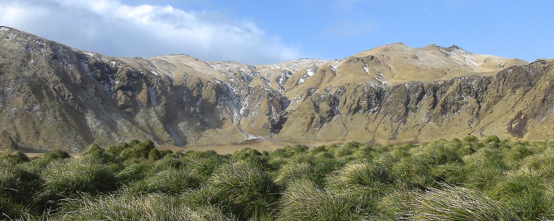 View from the beach at Cormorant Point across the coastal tussock at the rugged slopes of the escarpment