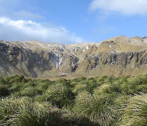 View from the beach at Cormorant Point across the coastal tussock at the rugged slopes of the escarpment