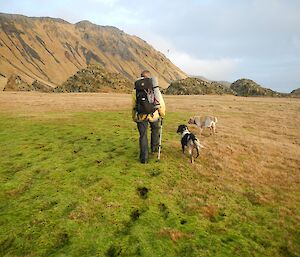 Karen, Ash and Finn walking across the vivid green featherbed towards Aurora cave. The escarpment can be seen in the left background