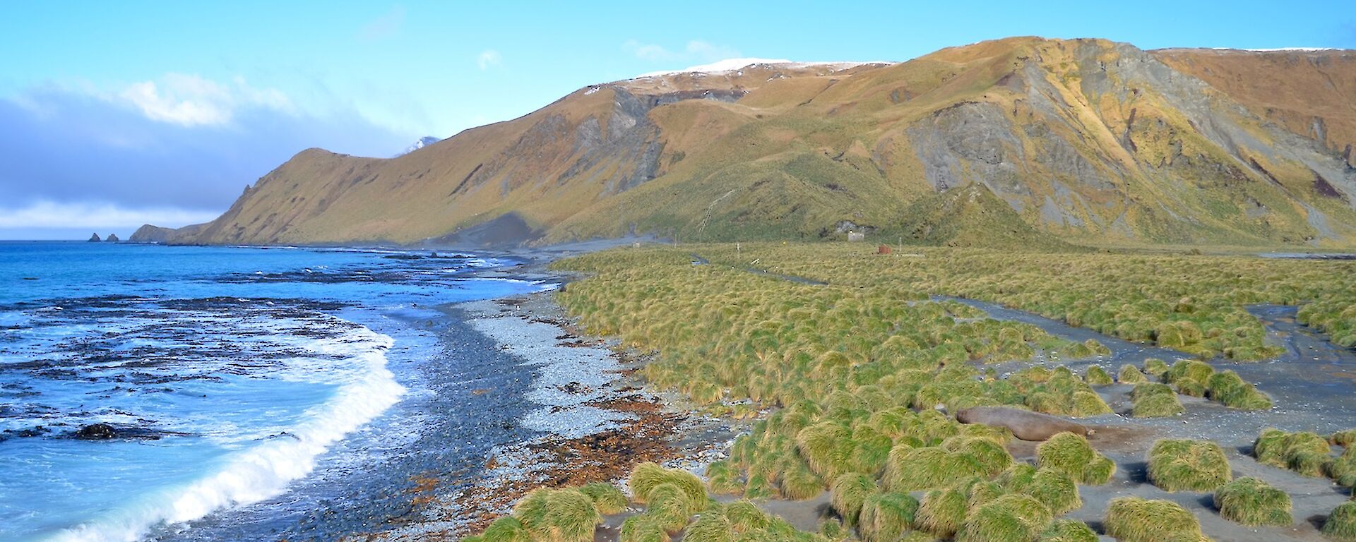 View of the east coast, isthmus and the escarpment beyond
