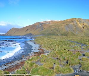 View of the east coast, isthmus and the escarpment beyond