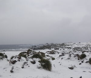 Panorama of a snow covered Bauer Bay, with the hut in the left of picture, the bay in the middle and the slopes of the escarpment on the right