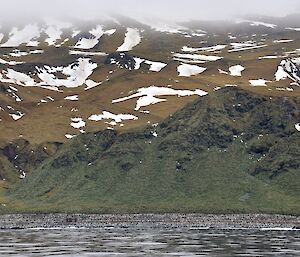 A view from the boat to Lusitania Bay. The distant beach is populated by thousands of king penguins. The partially snow covered steep slopes of the escarpment rise up from the beach