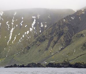 From one of the boats, Hurd Point hut looks very small at the base of the very steep slopes of the southern end of the island