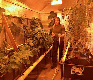 Aaron, with a garden hose in one hand, attending the plants on both sides of the aisle