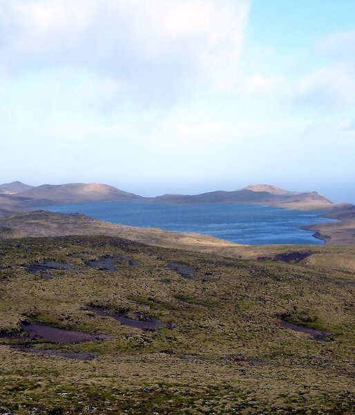 Looking west from the overland track across Major Lake with the ocean visible beyond