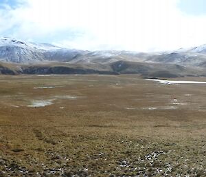 Looking north — panorama of the hinterland at Green Gorge, showing a broad flat valley with snow covered peaks in the distance north of the valley