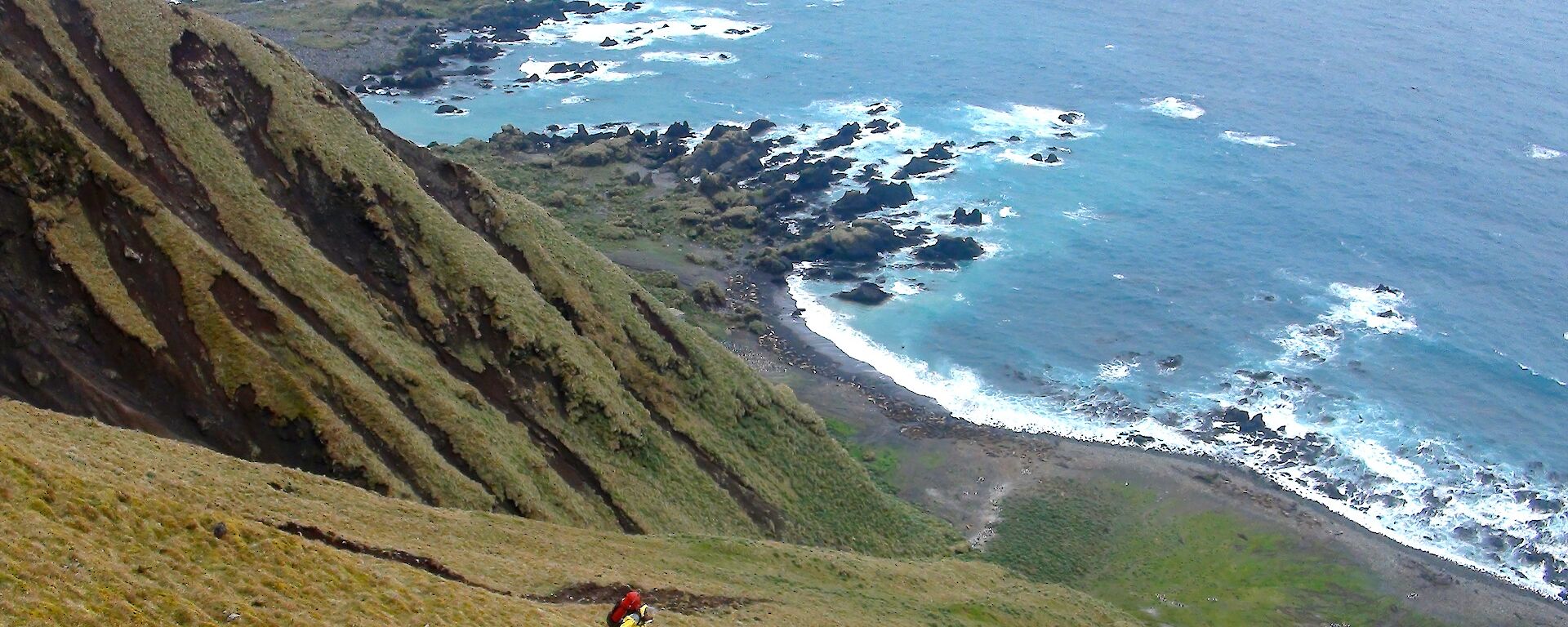 Descending down the Grassy Jump-up. Tony can be seen a further 50 metres down the steep slope. Hundreds of seals can be seen on the beach at the base of the slope and Hurd Point can be seen jutting out into the ocean in the top left of picture